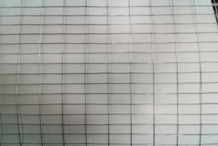 Steel Wire Mesh