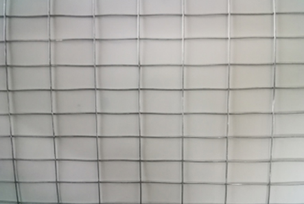 Steel Wire Mesh