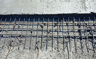 About The Spring Festival Holiday Arrangement Holiday Notice